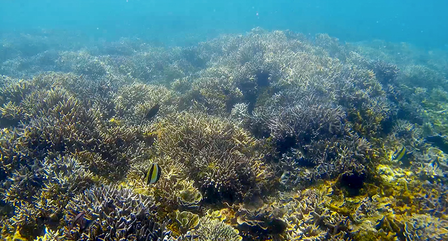 Capture-d&rsquo;écran-2017-05-06-à-14.08.12