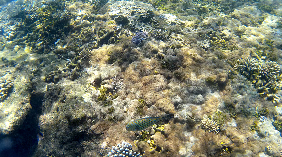 Capture-d&rsquo;écran-2017-05-06-à-14.10.14