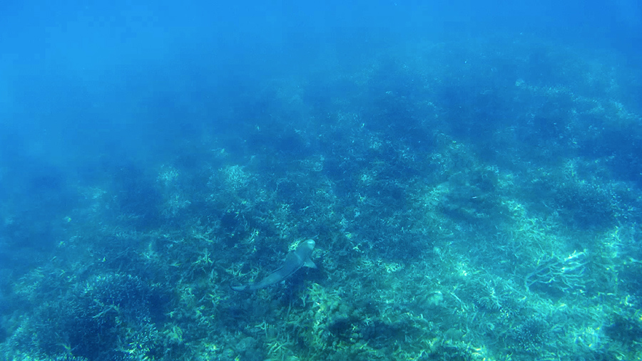 Capture-d&rsquo;écran-2017-05-06-à-14.18.12