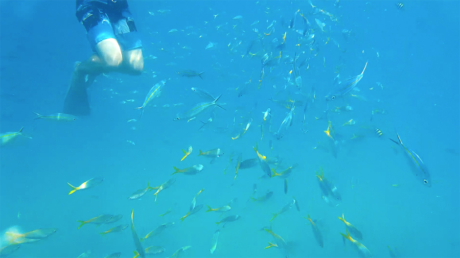 Capture-d&rsquo;écran-2017-06-14-à-21.16.40