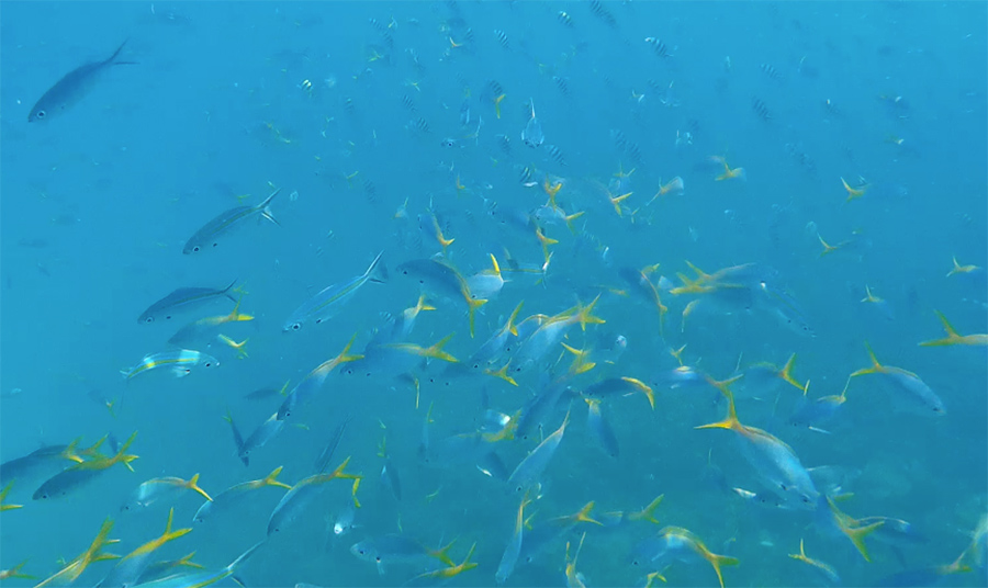 Capture-d&rsquo;écran-2017-06-14-à-21.17.33