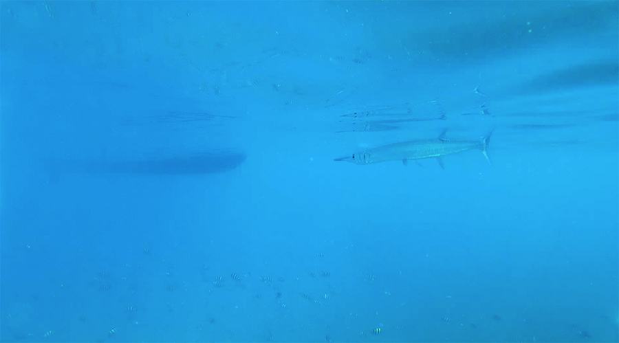 Capture-d&rsquo;écran-2017-06-14-à-21.17.59