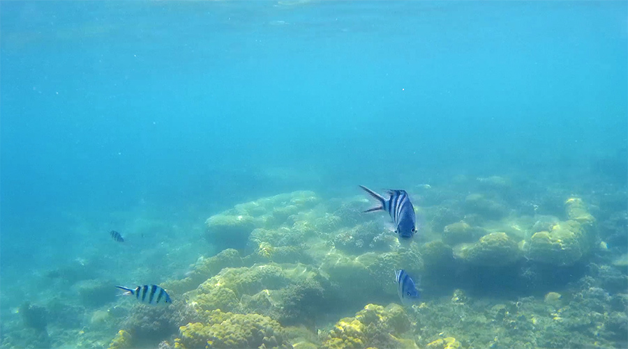 Capture-d&rsquo;écran-2017-06-14-à-21.20.32