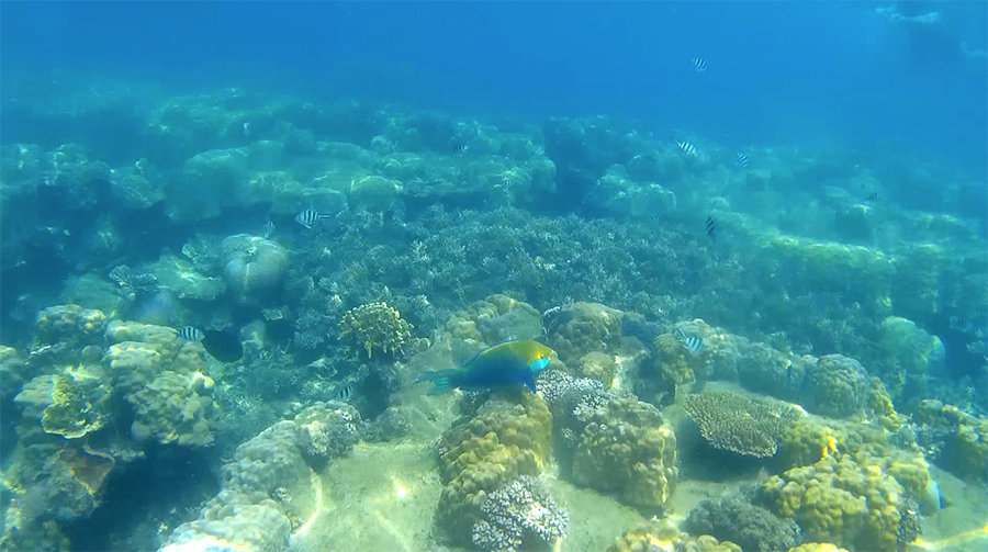 Capture-d&rsquo;écran-2017-06-14-à-21.22.25