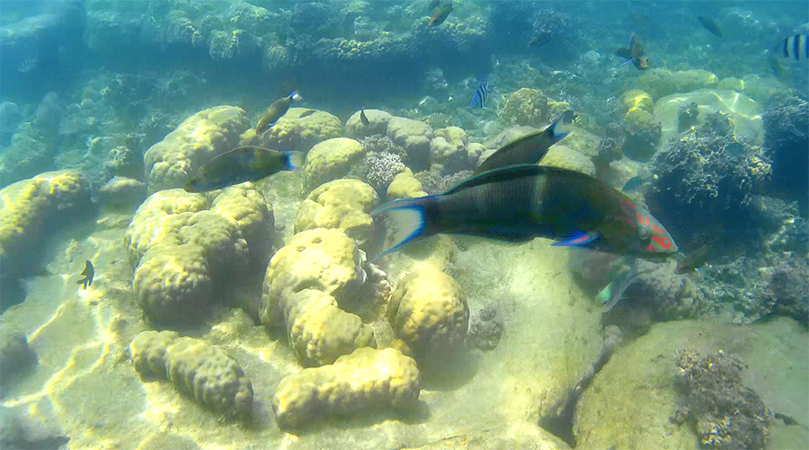 Capture-d&rsquo;écran-2017-06-14-à-21.23.17