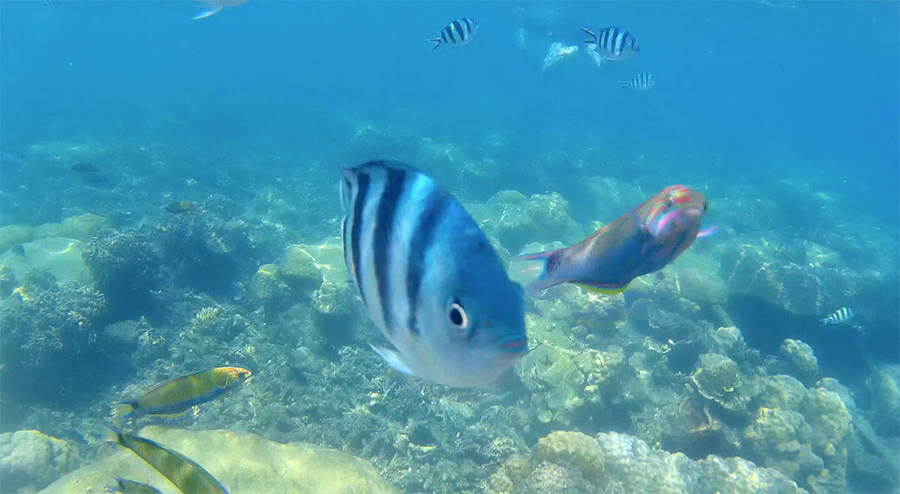 Capture-d&rsquo;écran-2017-06-14-à-21.23.57