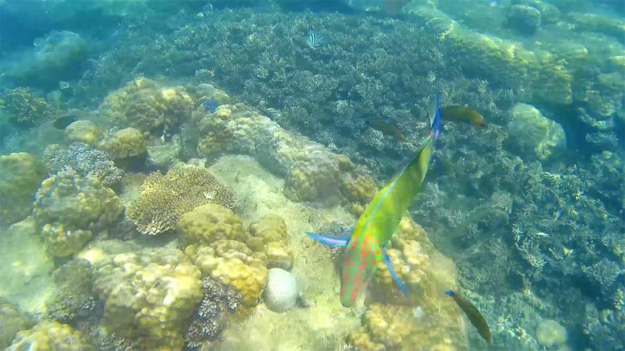 Capture-d&rsquo;écran-2017-06-14-à-21.24.20