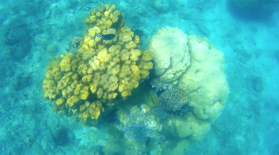 Capture-d&rsquo;écran-2017-06-14-à-21.28.04