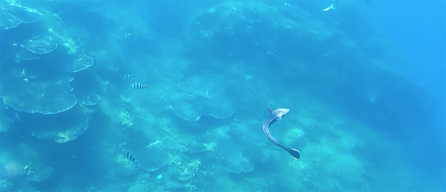 Capture-d&rsquo;écran-2017-06-14-à-21.29.16