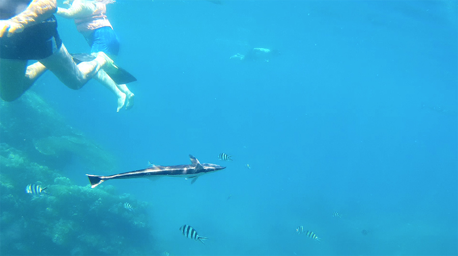 Capture-d&rsquo;écran-2017-06-14-à-21.29.48