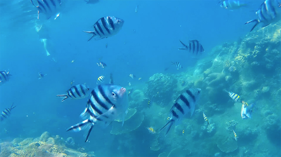 Capture-d&rsquo;écran-2017-06-14-à-21.30.46