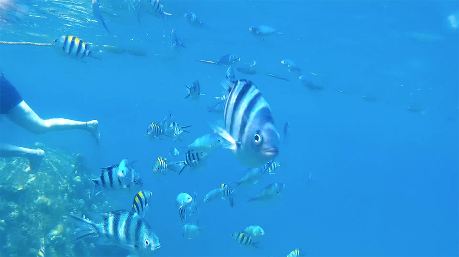 Capture-d&rsquo;écran-2017-06-14-à-21.31.04